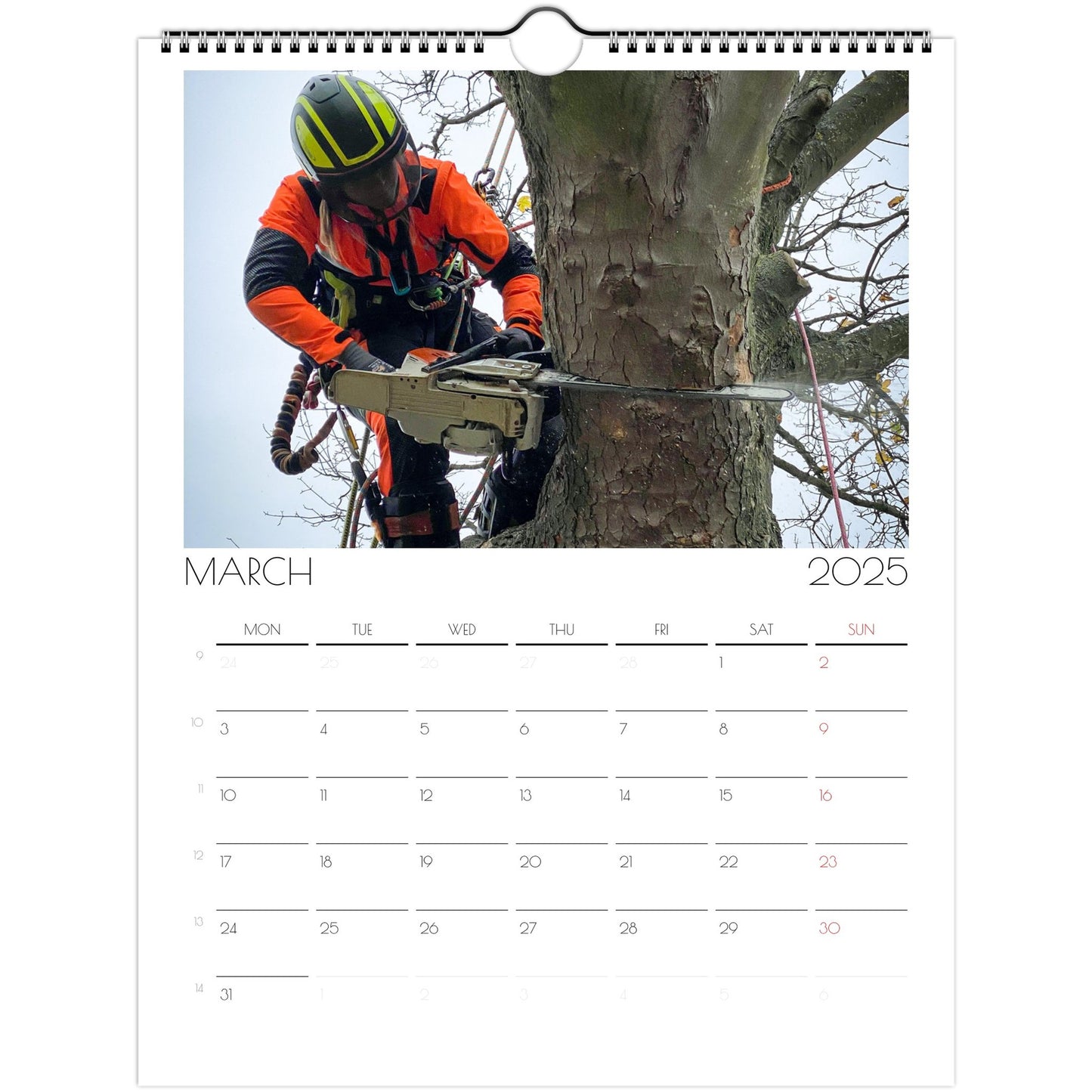 146c1f2b-b7e6-4fe1-8011-d13684be8d25